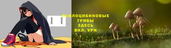 меф Вяземский
