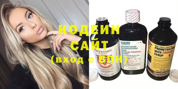 меф Вяземский