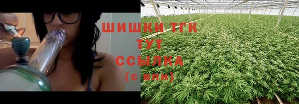 меф Вяземский