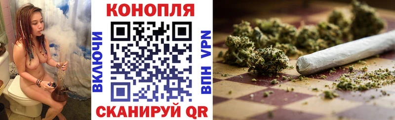 Канабис сатива  купить наркотик  Игра 